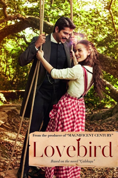 Çalıkuşu izle