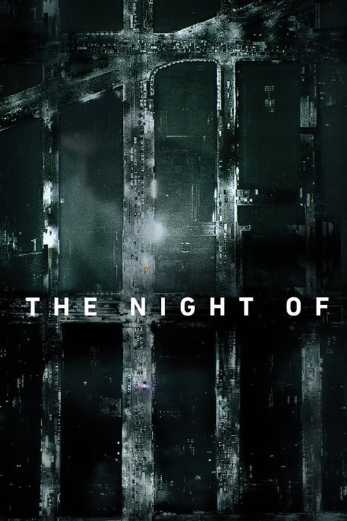 The Night Of izle
