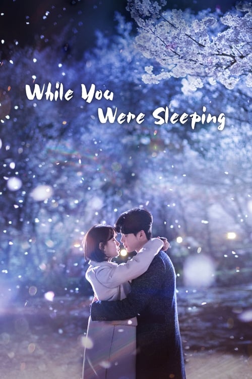 While You Were Sleeping izle