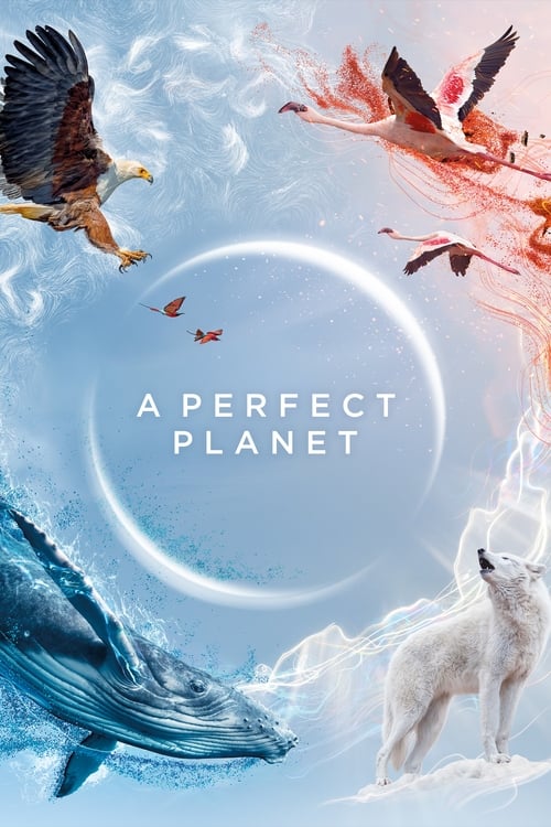 A Perfect Planet izle