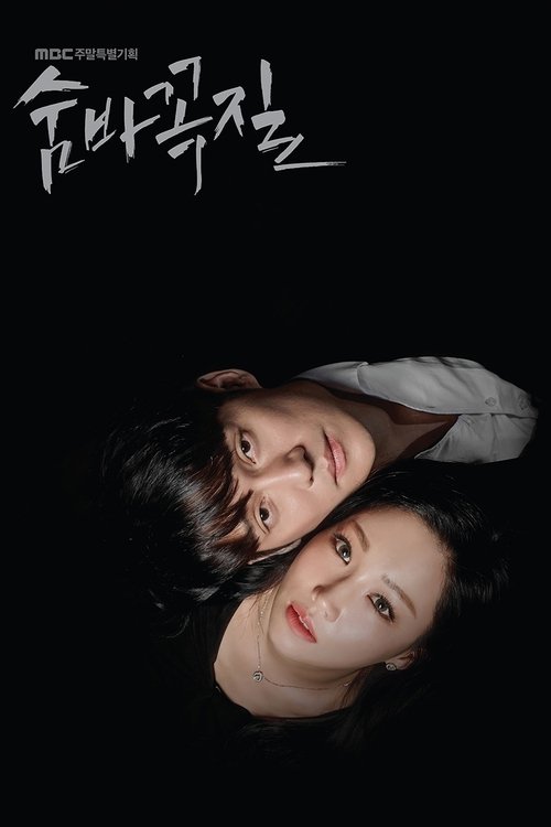 Hide and Seek izle