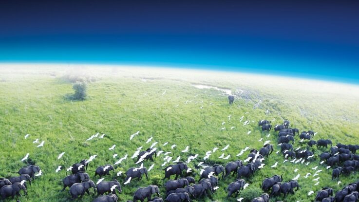 Planet Earth : 1.Sezon 5.Bölüm